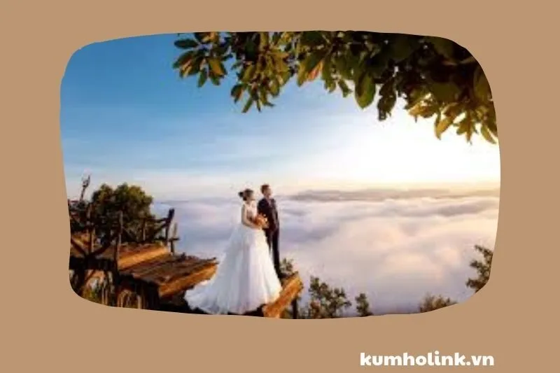 studio Paparazzi Wedding House