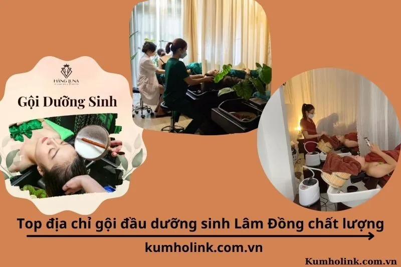 Top 10 địa chỉ gội đầu dưỡng sinh Lâm Đồng chất lượng và không gian thư giãn