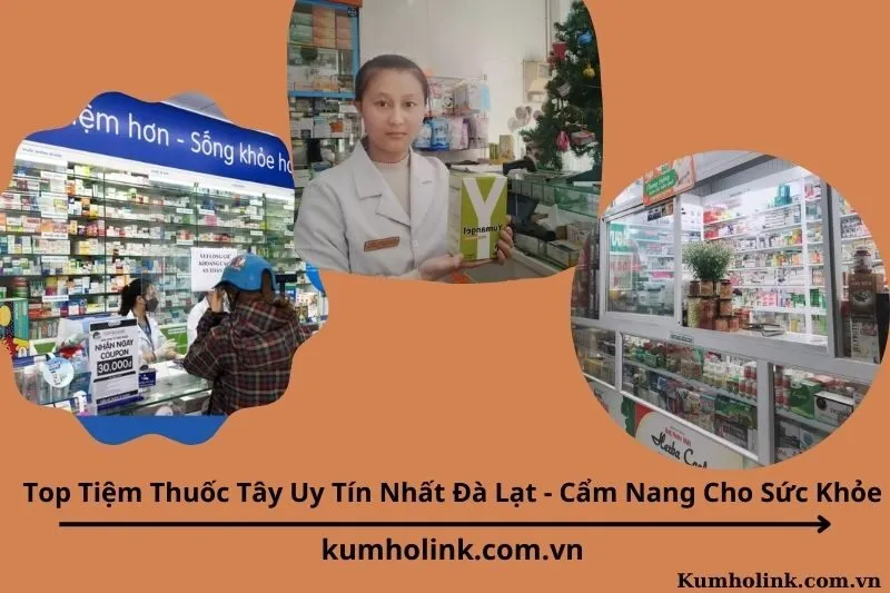 Top 10 Tiệm Thuốc Tây Uy Tín Nhất Đà Lạt - Cẩm Nang Cho Sức Khỏe