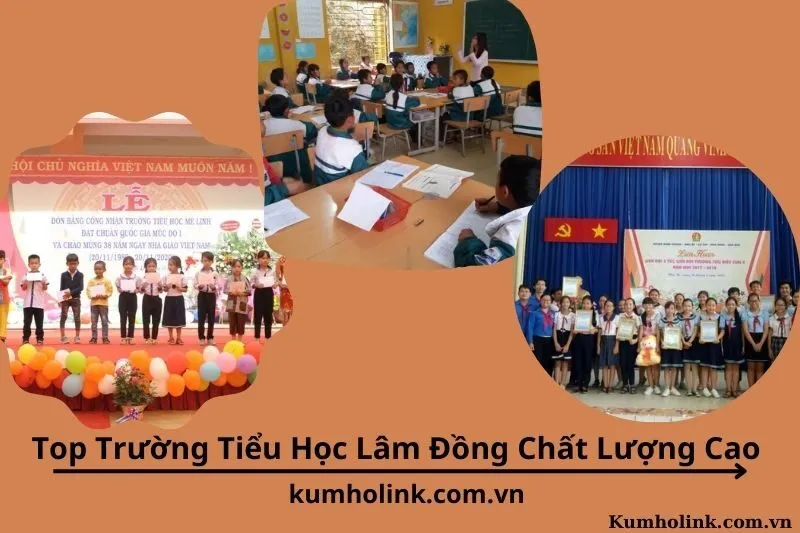 Top 10 Trường Tiểu Học Lâm Đồng Chất Lượng Cao