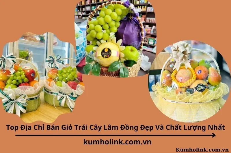 Top 5 Địa Chỉ Bán Giỏ Trái Cây Lâm Đồng Đẹp Và Chất Lượng Nhất