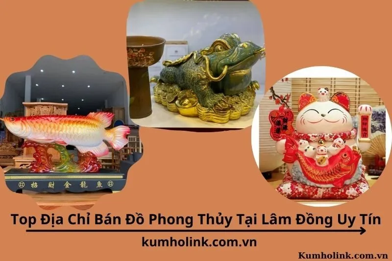 Top 6 Địa Chỉ Bán Đồ Phong Thủy Tại Lâm Đồng Uy Tín Chính Hãng