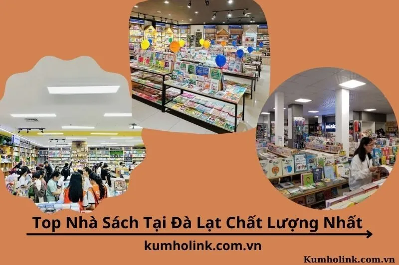 Top 6 Nhà Sách Tại Đà Lạt Chất Lượng Nhất