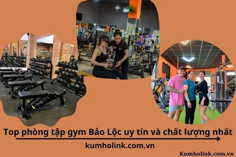 Top 6 phòng tập gym Bảo Lộc uy tín và chất lượng nhất