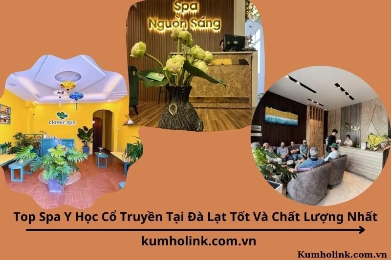 Top 6 Spa Y Học Cổ Truyền Tại Đà Lạt Tốt Và Chất Lượng Nhất