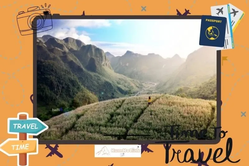 Các địa điểm trồng hoa tam giác mạch khác tại Đà Lạt