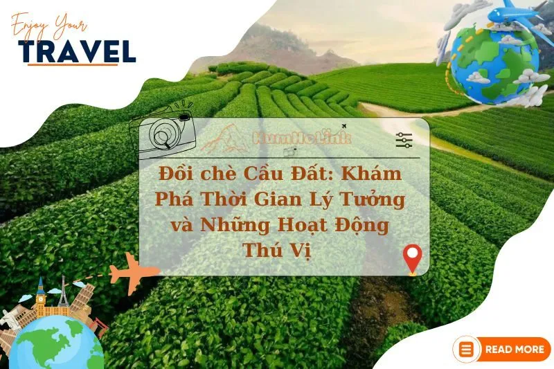 Đồi chè Cầu Đất: Khám Phá Thời Gian Lý Tưởng và Những Hoạt Động Thú Vị 2025