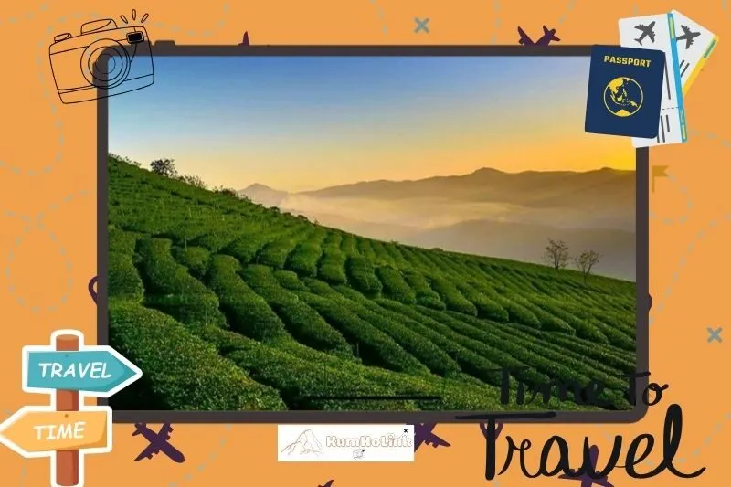 Tổng quan Đồi Chè Cầu Đất