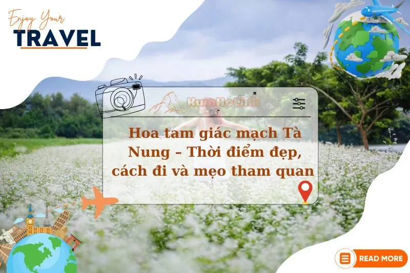 Hoa tam giác mạch Tà Nung – Thời điểm đẹp, cách đi và mẹo tham quan 2025