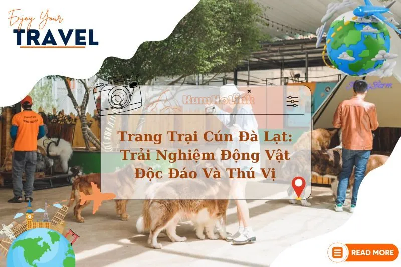 Khám Phá Trang Trại Cún Đà Lạt: Trải Nghiệm Động Vật Độc Đáo Và Thú Vị 2025