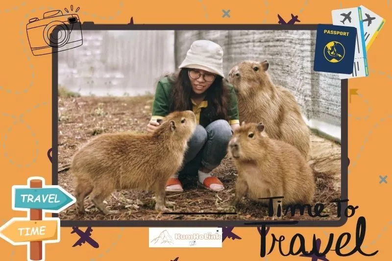 Kinh nghiệm tham quan vườn thú ZooDoo Đà Lạt