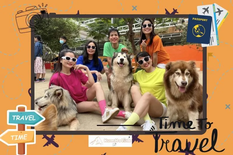 Các loại động vật tại Trang Trại Cún