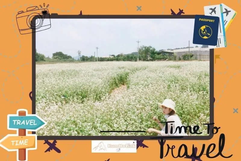 Thời điểm lý tưởng để chiêm ngưỡng hoa tam giác mạch Tà Nung