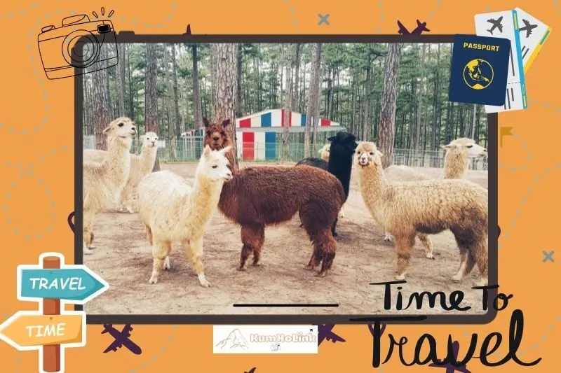 Tổng quan vườn thú ZooDoo