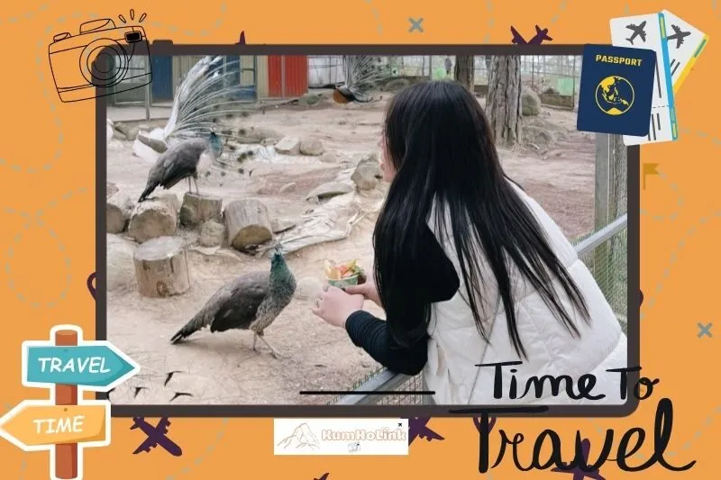 Vườn thú ZooDoo Đà Lạt có gì chơi?