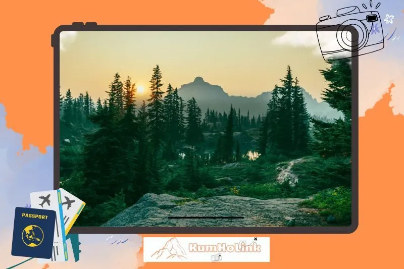 Các Điểm Tham Quan Nổi Bật Tại Khu Du Lịch Rừng Thông Núi Voi