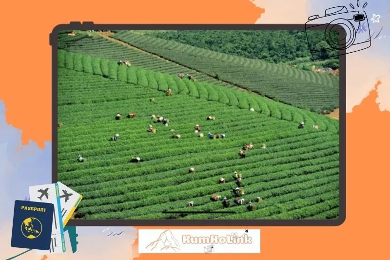 Địa điểm du lịch gần đồi chè không thể bỏ qua