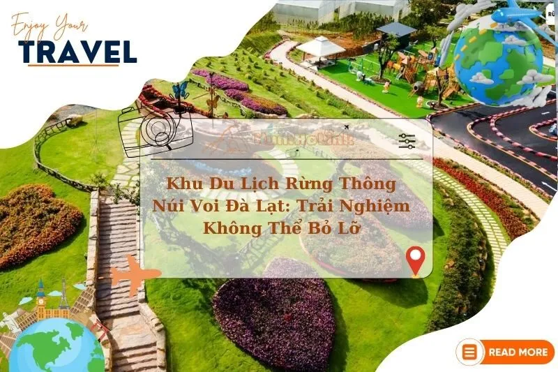 Khám Phá Khu Du Lịch Rừng Thông Núi Voi Đà Lạt: Trải Nghiệm Không Thể Bỏ Lỡ