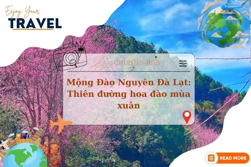 Khám phá Mộng Đào Nguyên Đà Lạt 2025: Thiên đường hoa đào mùa xuân