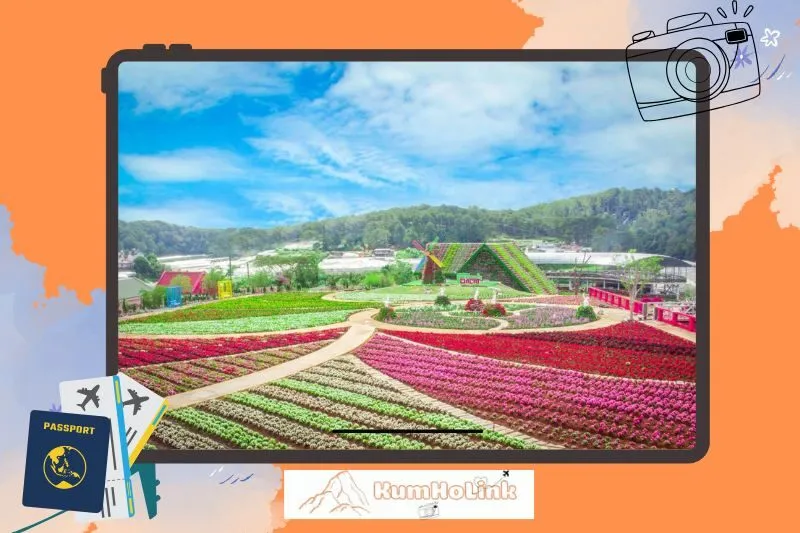 Khám phá vẻ đẹp làng hoa về đêm