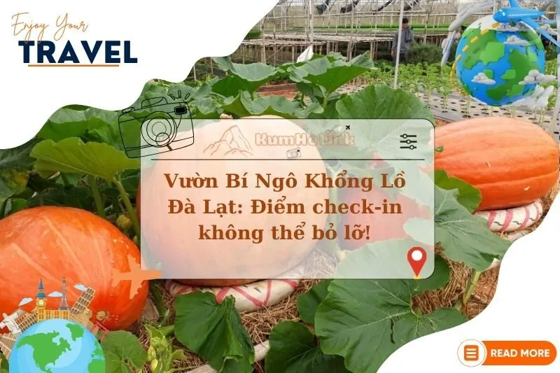 Khám Phá Vườn Bí Ngô Khổng Lồ Đà Lạt: Điểm check-in không thể bỏ lỡ!