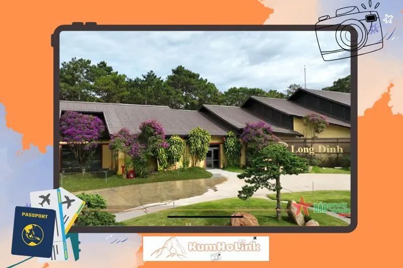 Không gian thưởng trà thư thái và nghệ thuật pha trà