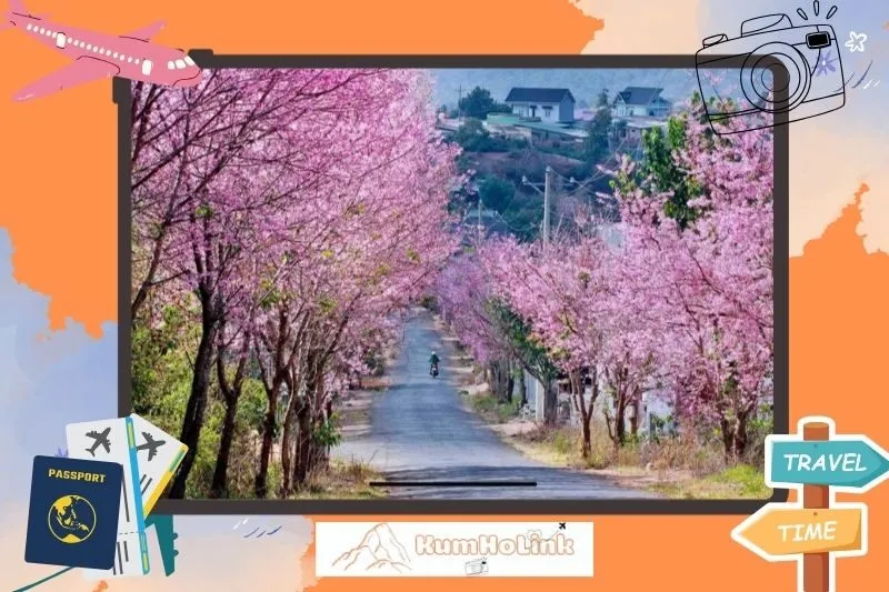 Mộng Đào Nguyên Đà Lạt ở đâu và có gì đặc biệt?