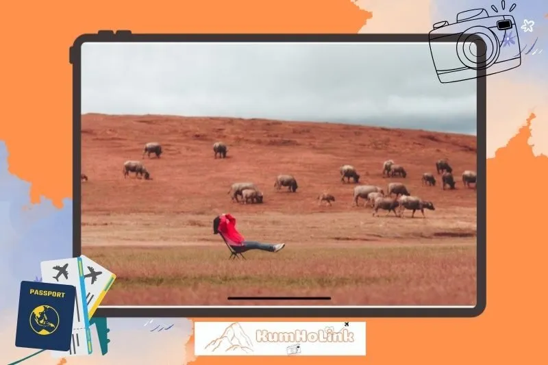 Những hoạt động khác nên thử khi đến Masara