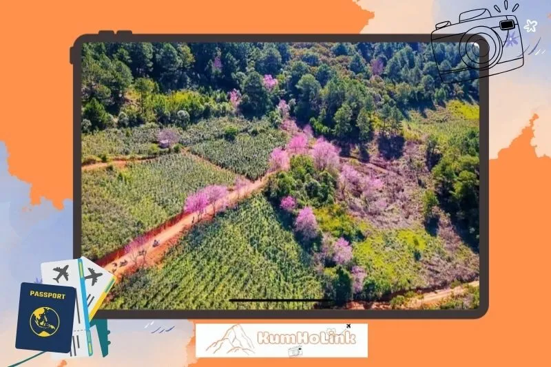 Những lưu ý quan trọng