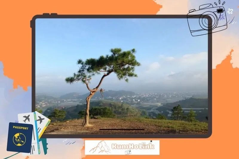 Những lưu ý quan trọng khi tham quan Đồi Thiên Phúc Đức