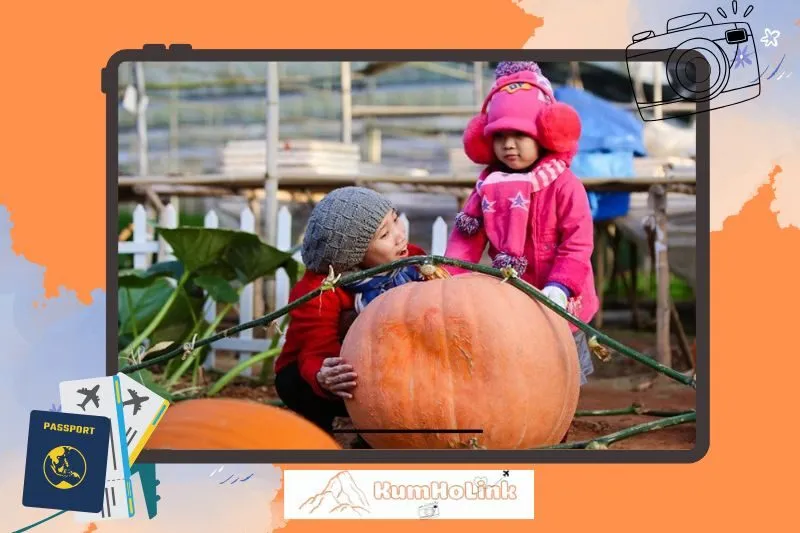 Những lưu ý quan trọng khi tham quan Vườn Bí Ngô Khổng Lồ