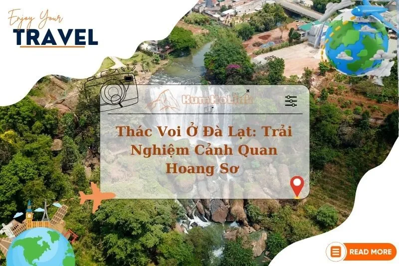Thác Voi Đà Lạt 2025: Trải Nghiệm Cảnh Quan Hoang Sơ