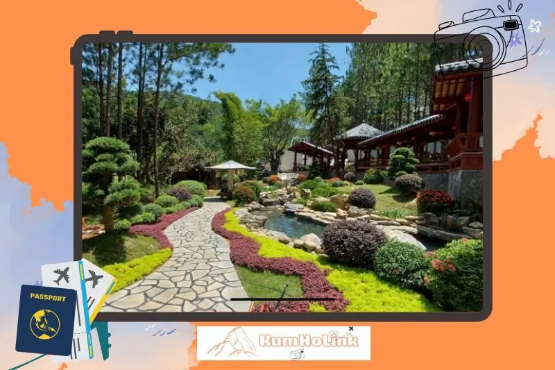 Thời Điểm Lý Tưởng Để Tham Quan Khu Du Lịch Rừng Thông Núi Voi