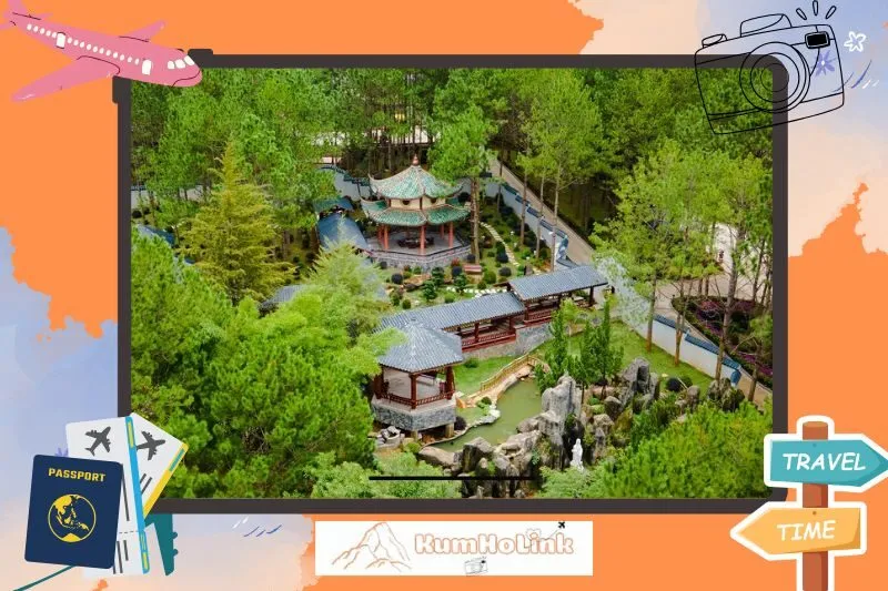 Tổng Quan Về Khu Du Lịch Rừng Thông Núi Voi