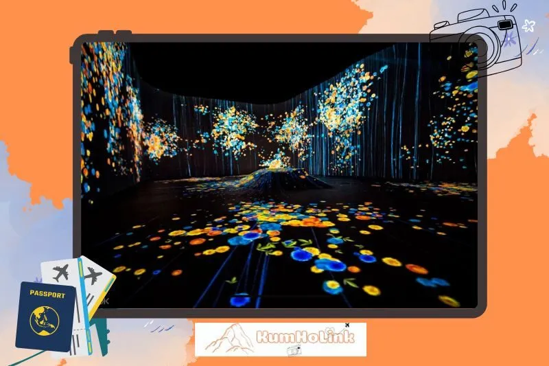 Trải nghiệm gì tại Vườn Ánh Sáng Lumiere? Các khu vực tham quan nổi bật