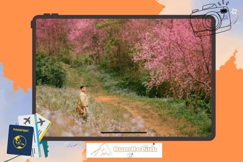 Trải nghiệm tại Mộng Đào Nguyên – Điểm check-in không thể bỏ lỡ