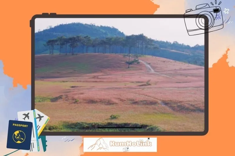 Những trải nghiệm không thể bỏ lỡ tại Masara