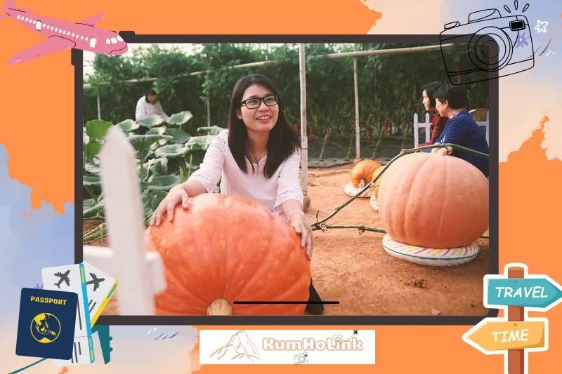 Vườn Bí Ngô Khổng Lồ Đà Lạt ở đâu? Hướng dẫn đường đi chi tiết